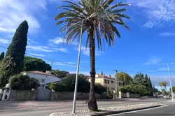 Photos  Appartement à vendre Toulon 83000