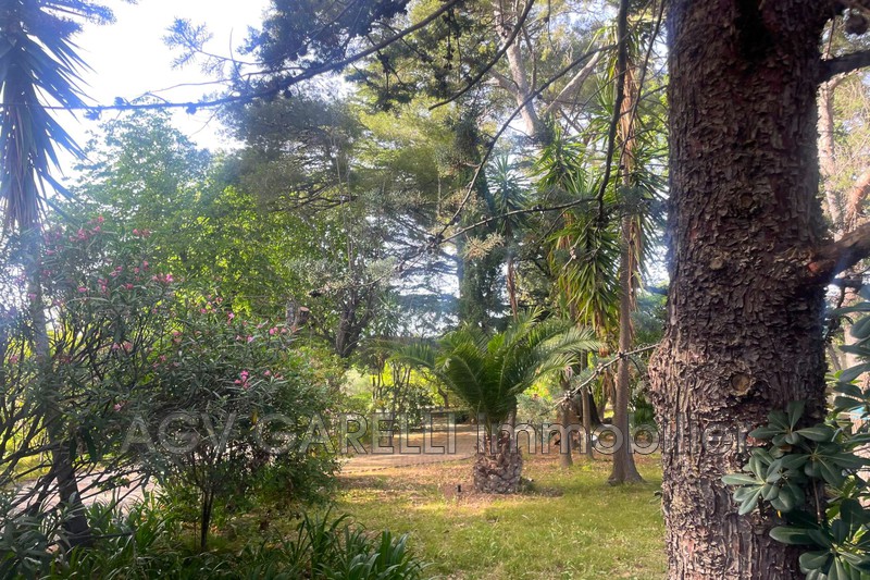Photo n°2 - Vente maison Toulon 83000 - 640 000 €