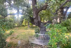 Photos Maison à vendre Toulon 83000