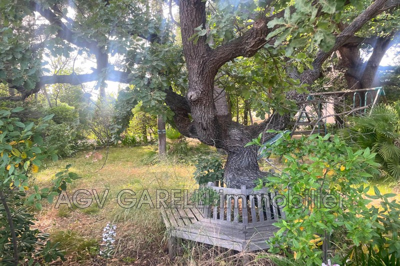 Photo n°6 - Vente maison Toulon 83000 - 690 000 €