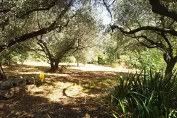 Photos  Maison à vendre Toulon 83000