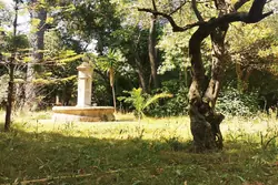 Photos Maison à vendre Toulon 83000