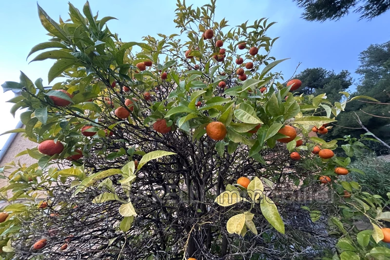 Photo n°24 - Vente maison Toulon 83000 - 748 000 €