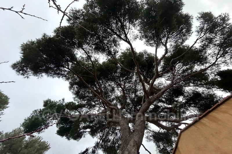 Photo n°23 - Vente maison Toulon 83000 - 748 000 €