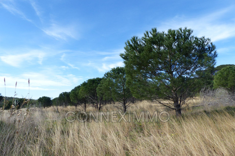 Photo Terrain agricole Générac Costieres,   achat terrain agricole   12250&nbsp;m&sup2;