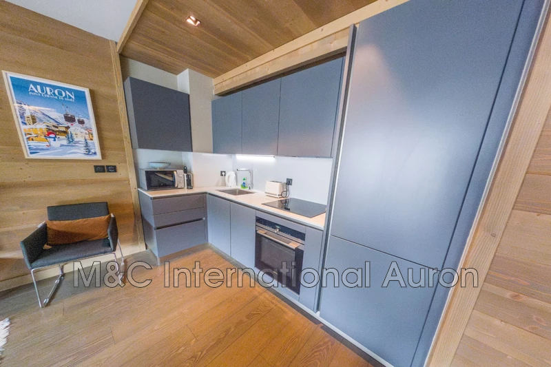 Location saisonnière appartement Auron  