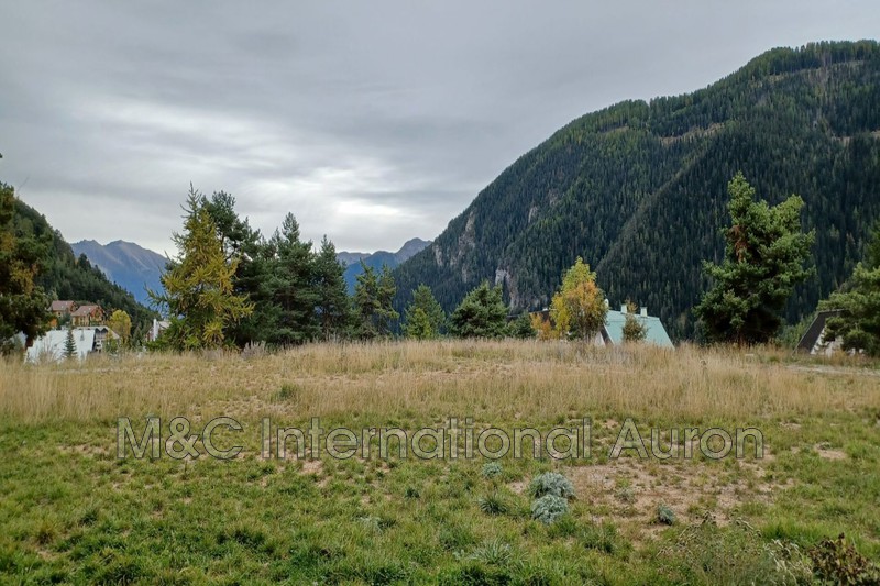 Location saisonnière appartement Auron  