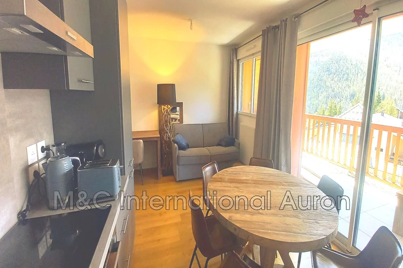Location saisonnière appartement Auron  