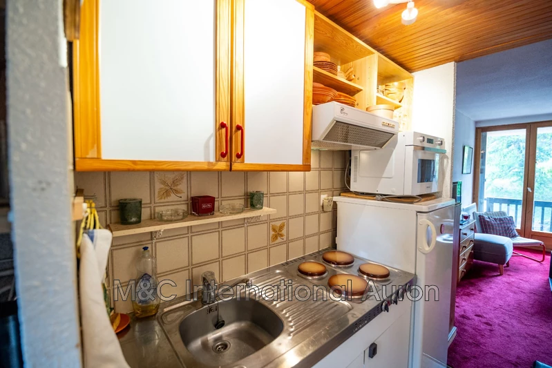 Location saisonnière appartement Auron  