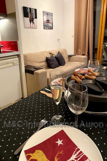 Location saisonnière appartement Auron  