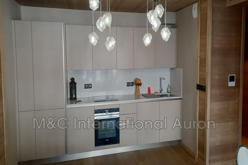 Location saisonnière appartement Auron  