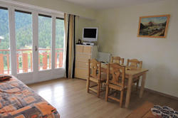 Photos Appartement à Vendre Auron 06660