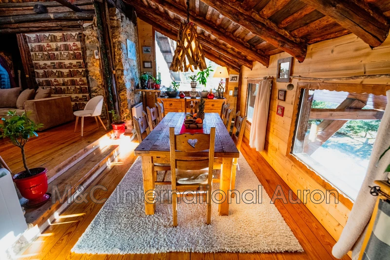 Vente chalet Auron  