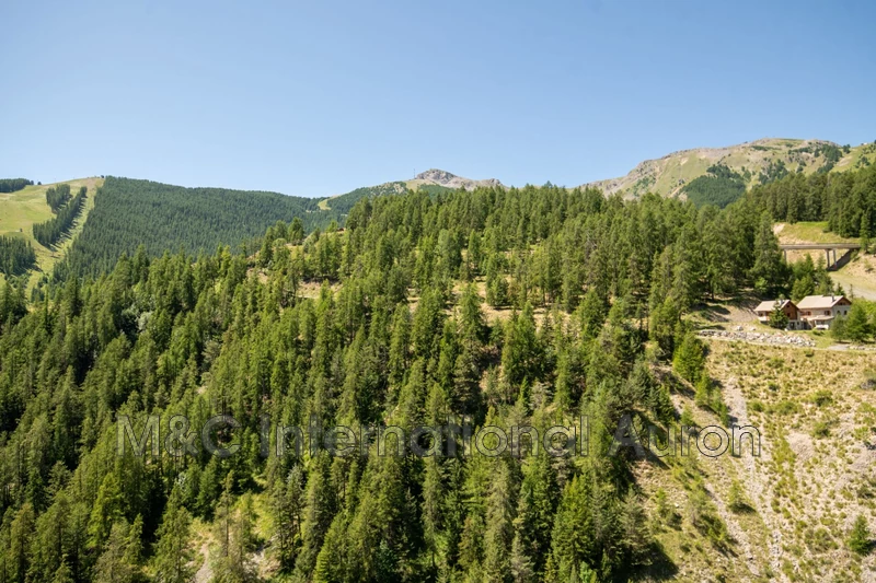 Vente appartement Auron  