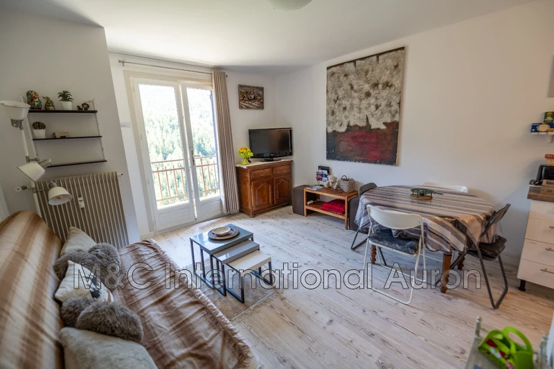 Vente appartement Auron  