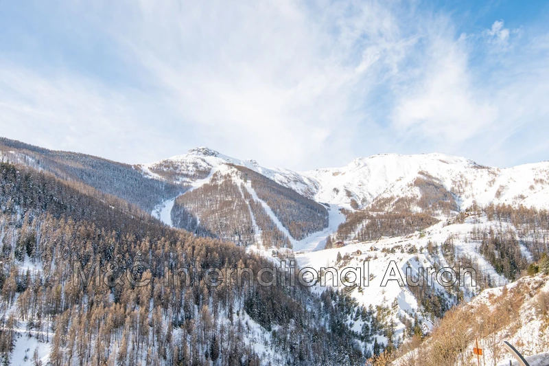 Vente appartement Auron  