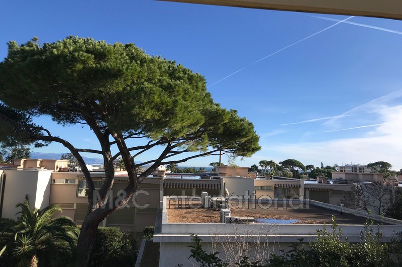 Photo Appartement Antibes Bord de mer, achat appartement 2 pièces 60 m²