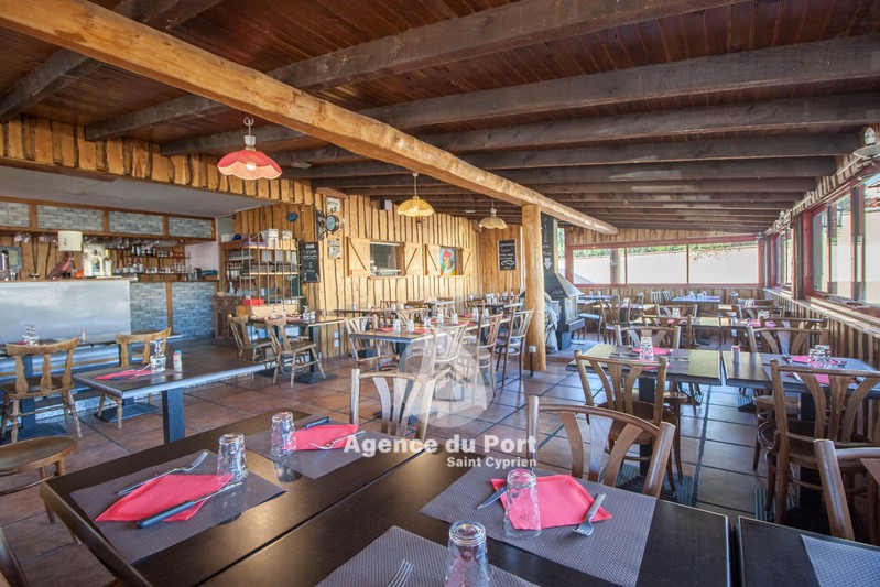 Professionnel St cyprien Proche plages 110 m²