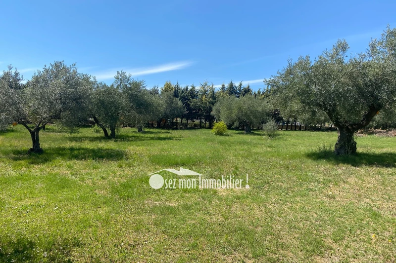 Vente maison de campagne Pouzols-Minervois  