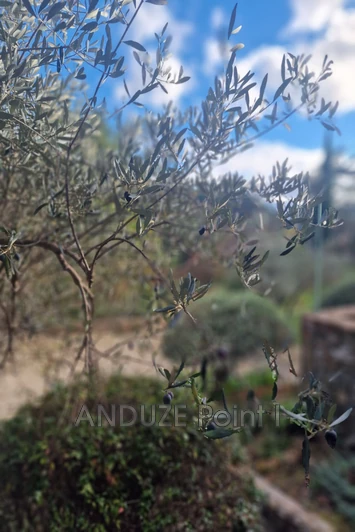 Vente mas Générargues Vente mas Générargues