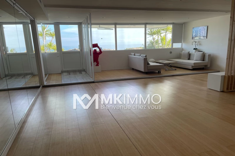 Professionnel local professionnel Villeneuve-Loubet  