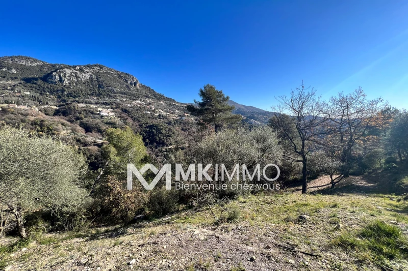 Vente terrain Castagniers  