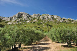 Vente mas Saint-Rémy-de-Provence  