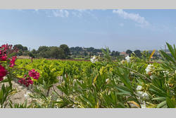 Vente maison de campagne Martigues  