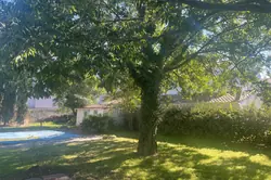 Vente maison Arles  