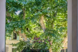 Vente maison de ville Arles  