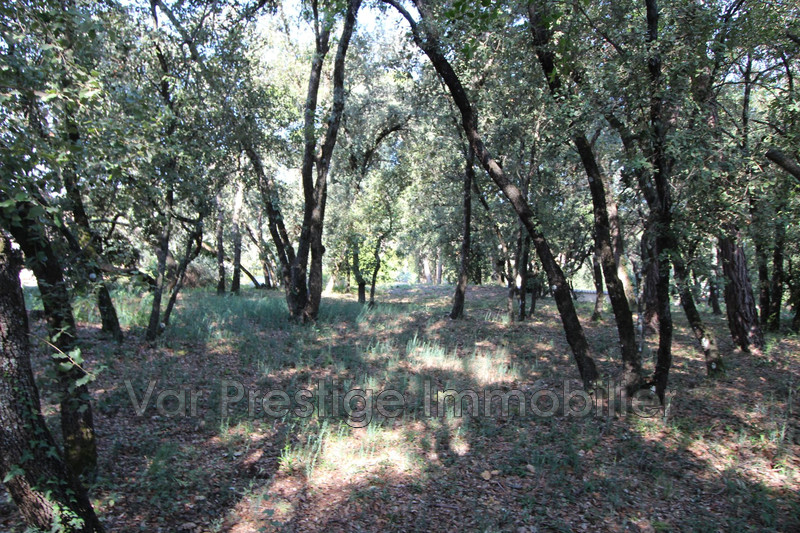 Photo n°26 - Vente maison Lorgues 83510 - 995 000 €