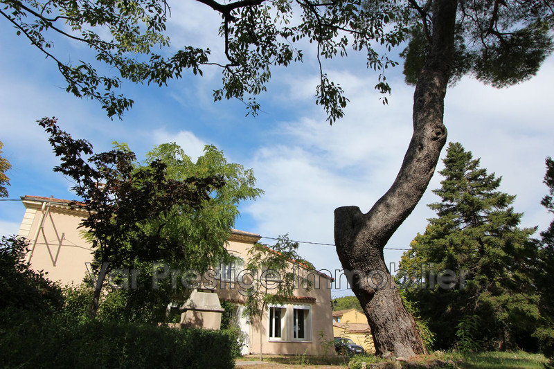 Vente maison de maître Flayosc  