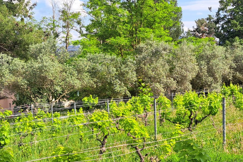 Vente maison Meyreuil  