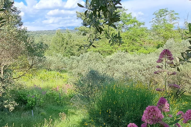 Vente maison Meyreuil  