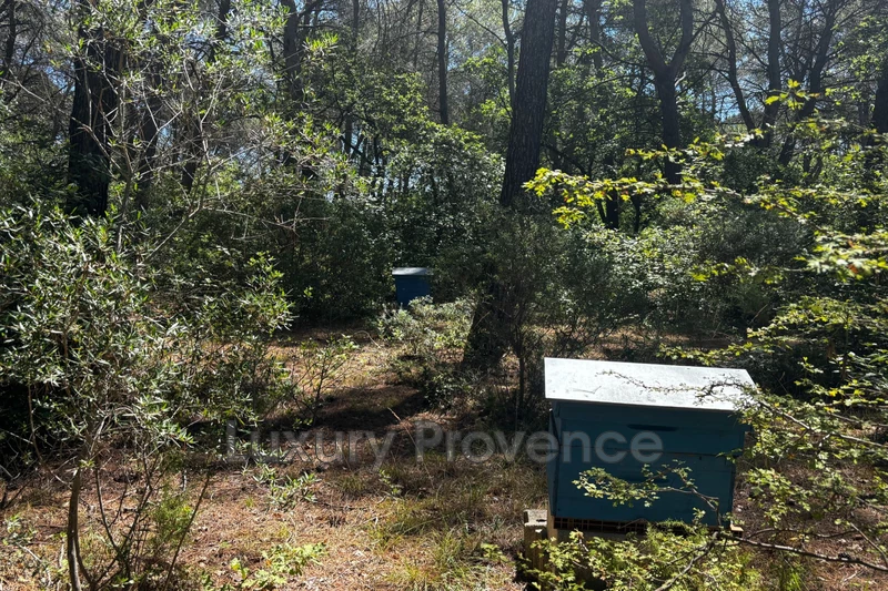 Vente maison Fuveau  