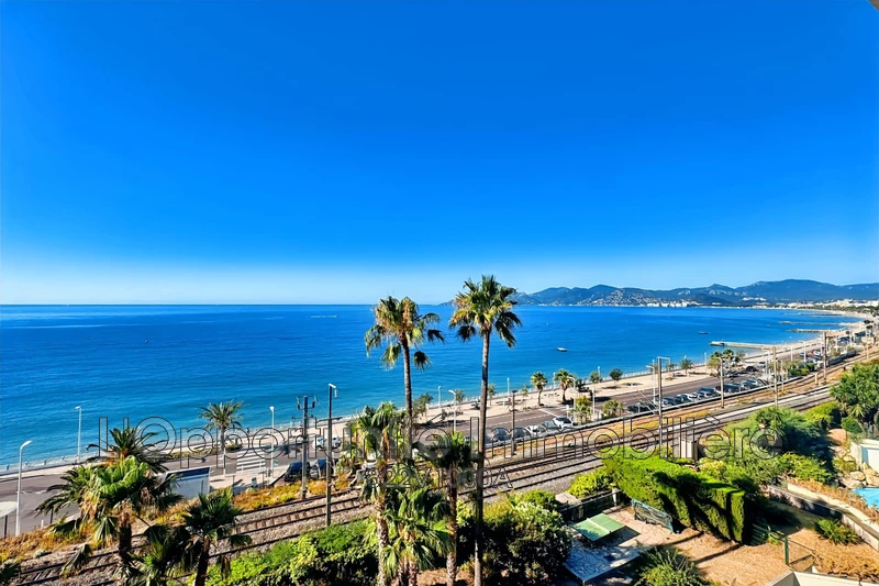Vente Idéal investisseur Cannes  
