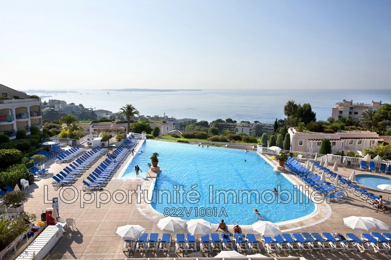 Vente Idéal investisseur Cannes-la-Bocca  