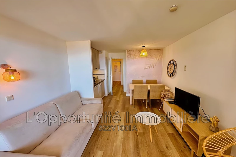 Vente Idéal investisseur Cannes-la-Bocca  