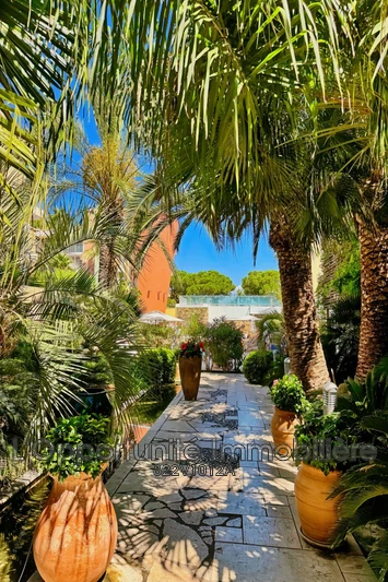 Vente appartement Antibes  