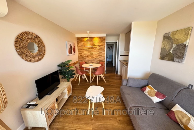 Vente Idéal investisseur Cannes  