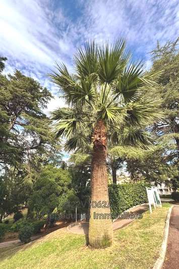 Vente appartement Cannes  