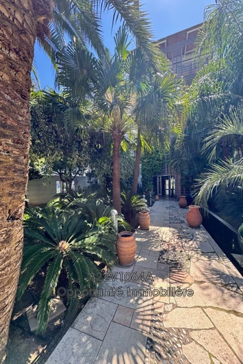 Vente Idéal investisseur Antibes  