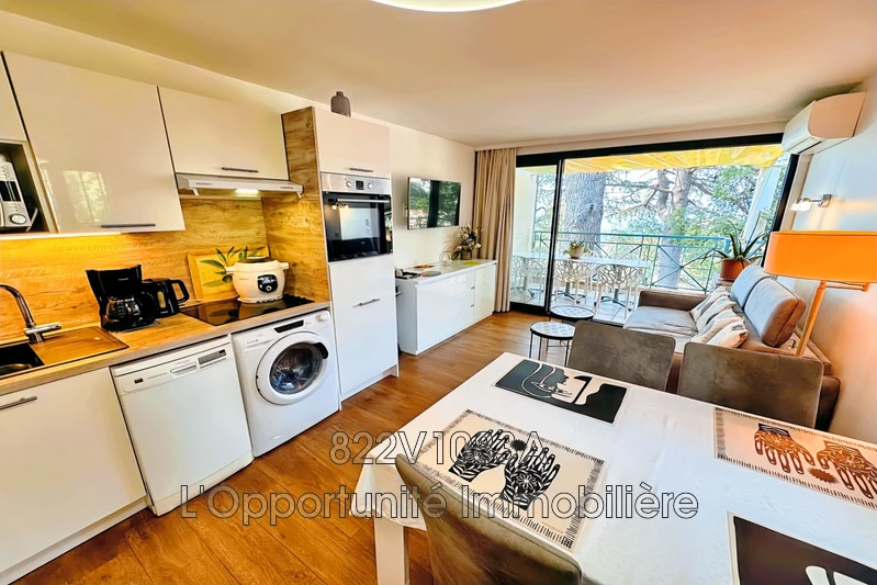 Vente Idéal investisseur Cannes  