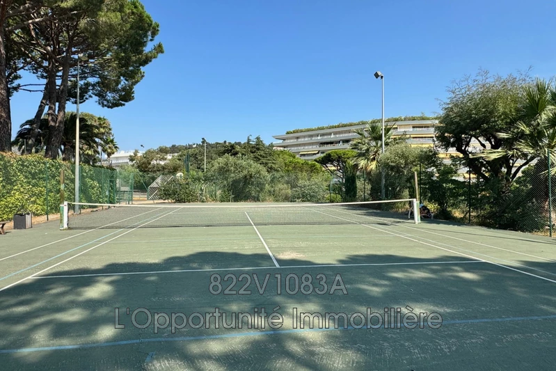 Vente Idéal investisseur Cannes  