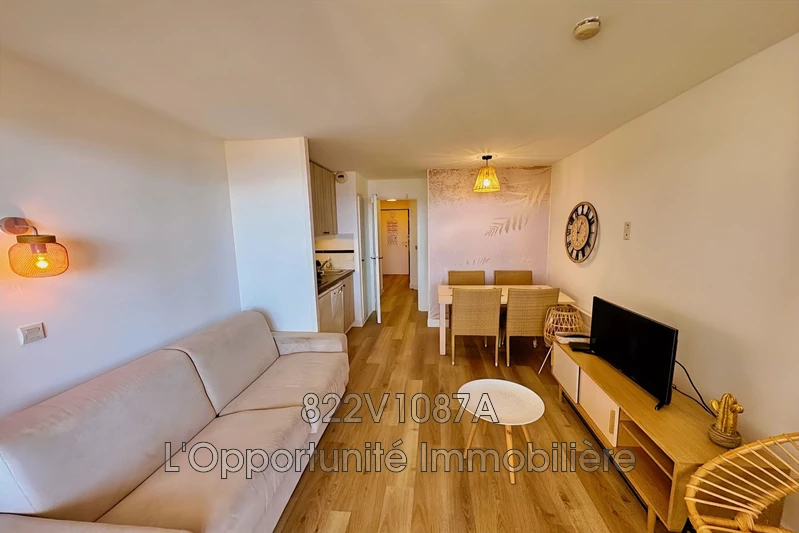 Vente Idéal investisseur Cannes  Vente Idéal investisseur Cannes