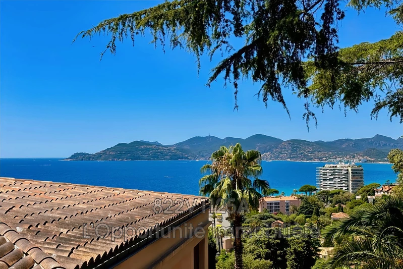 Vente Idéal investisseur Cannes-la-Bocca  
