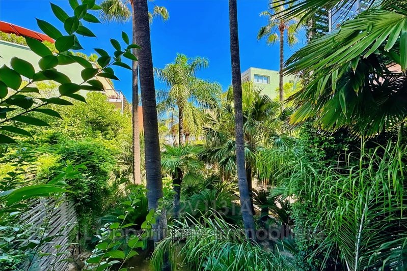 Vente Idéal investisseur Antibes  