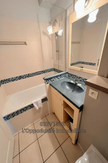 Vente Idéal investisseur Saint-Laurent-du-Var  