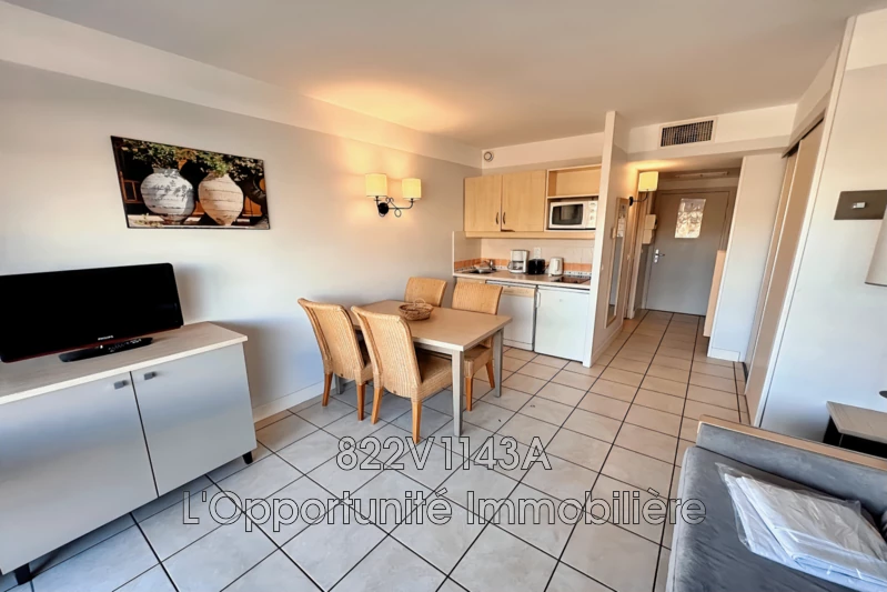 Vente Idéal investisseur Saint-Laurent-du-Var  