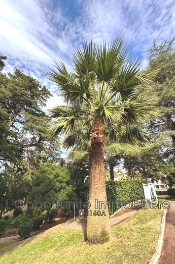 Vente appartement Cannes  